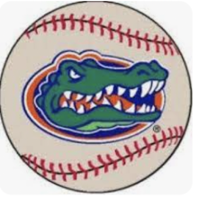 NTX Gators travel Baseball logo